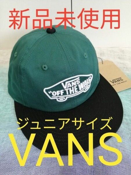 【新品VANS（バンズ）】キャップジュニアサイズSK8 3D SixPanel CAP CAP 123R5160100