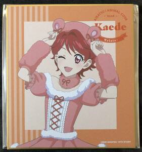  Aikatsu! one no. maple animal ko-tever. trailing Mini square fancy cardboard .. under .. illustration 