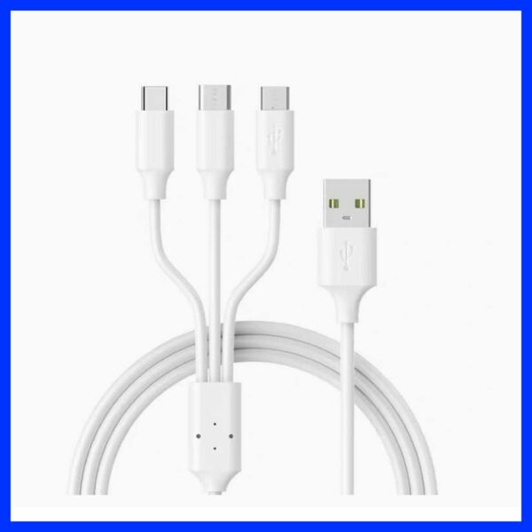 USB USBケーブル iPhone Lightning USB-C 充電ケーブル TYPE