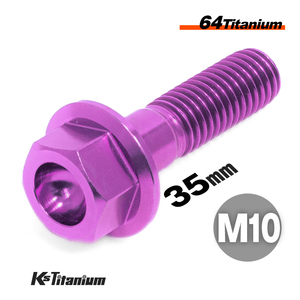 チタンボルト M10×35 P1.25 パープル 1本売り 64チタン フランジボルト スレッド 30mm バイク レストア パーツ