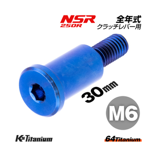 チタンボルト M6×30 P1.0 ブルー 1本 ピポットボルト スレッド 14mm ホンダ NSR250 ハンドル クラッチ レバー ボルト バイク レストア