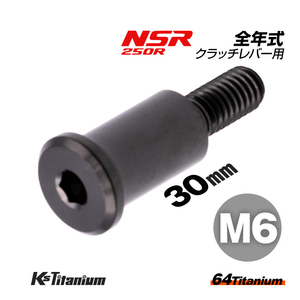 チタンボルト M6×30 P1.0 ブラック 1本 ピポットボルト スレッド 14mm ホンダ NSR250 ハンドル クラッチ レバー ボルト バイク レストア