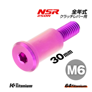 チタンボルト M6×30 P1.0 パープル 1本 ピポットボルト スレッド 14mm ホンダ NSR250 ハンドル クラッチ レバー ボルト バイク レストア