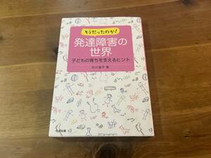 そうだったのか！ 発達障害の世界 石川道子