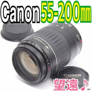 大迫力の望遠レンズ　キヤノン Canon EF 55-200mm（No.601）
