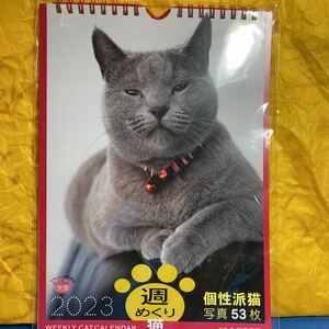 *2023 year * calendar * week ...* cat * piece .. cat * photograph 53 sheets * large cheap inscription * unopened * board higashi ..*