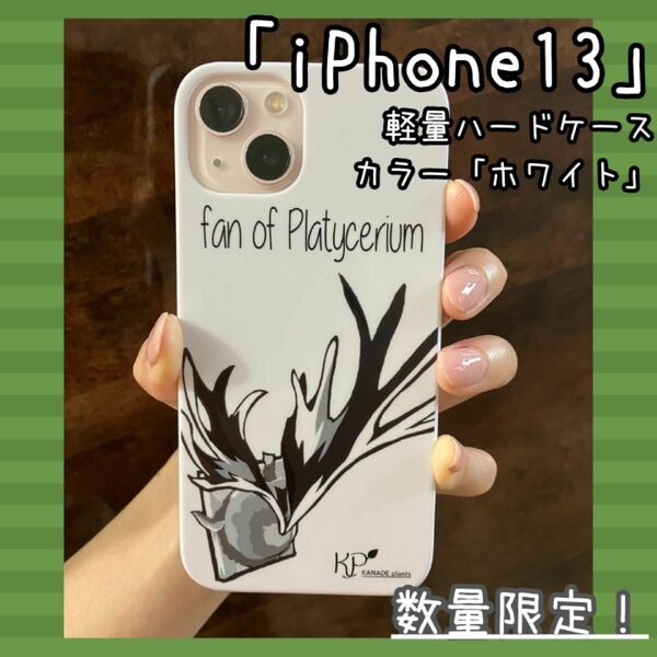 Phone13用　軽量スマホケース　ハードタイプ　ビカクシダイラスト