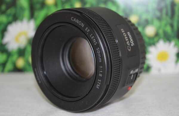 美品 Canon EF 50mm F1.8☆新型STM☆単焦点レンズ☆明るいボケ