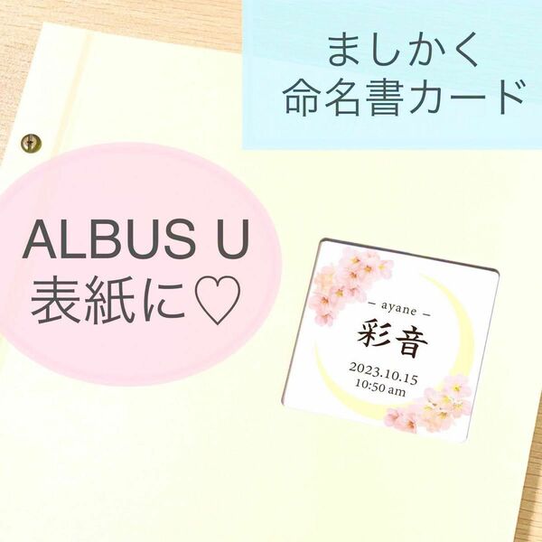 アルバスサイズ　ALBUSBOOK U! の表紙にぴったりのましかく命名書カード　お名前カード　アルバスユー　アルバムにも