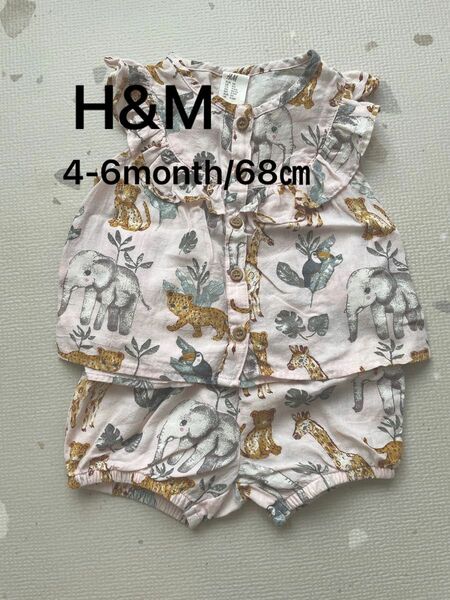 H&M アニマル柄　セットアップ ショートパンツ