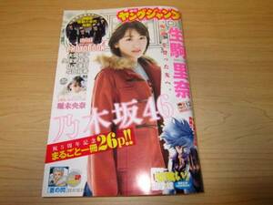 ヤングジャンプ 2017年 No13　生駒里奈／嘘喰い／特別付録