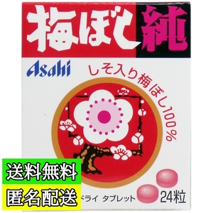 梅干し純 ２４粒 塩分補給 熱中症対策 送料無料