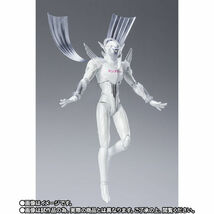 バンダイ S.H.Figuarts 魂ウェブ限定　TIGER & BUNNY 2　ヒーイズトーマス ＆ Mr. ブラック_画像5