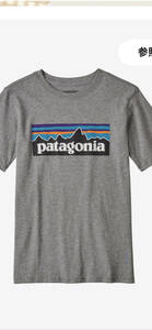 # Patagonia # новый товар boys XXL/170cm серый. p-6 с логотипом футболка 