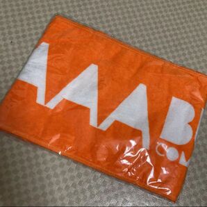 AAA にっしー カラー タオル