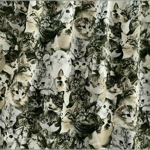 mets★5m*ぎっしり猫ネコ*smoke green*オックス*コットン生地33Dの画像7