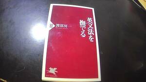 英文法を撫でる　渡部昇一著