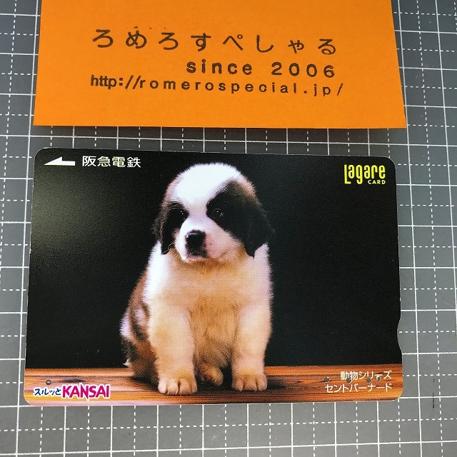 2023年最新】ヤフオク! -セントバーナード犬の中古品・新品・未使用品一覧