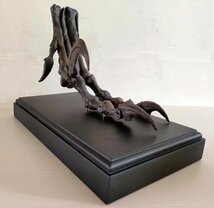 ★1000円～売切！★ 高品質！3Dスキャン 複製 ★ デイノニクス（Deinonychus）原寸１：１ 足の骨格　肉食恐竜_画像8