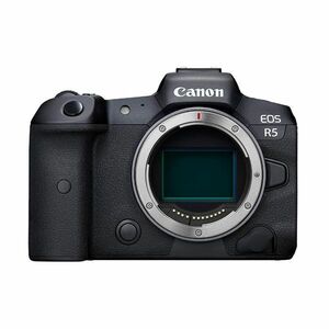 Используется 1 -летняя гарантия красивые товары Canon EOS R5 Body