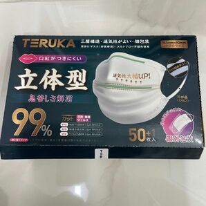 TERUKA マスク小さめサイズ 145㍉×90㍉