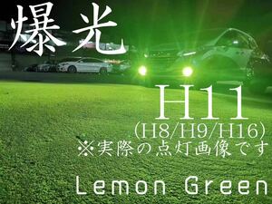 H11 LED フォグランプ レモングリーン H72 50w 爆光
