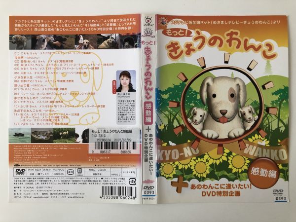 超特価通販 きょうのわんこ保存版 - Mio Shop au PAY マーケット店