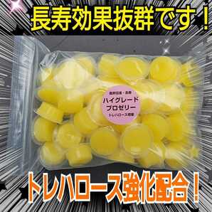 極上ハイグレードプロゼリー【50個】特殊アミノ酸強化配合！産卵促進・長寿・体力増進に抜群！クワガタの餌、カブトムシの餌　昆虫ゼリー