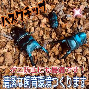 送料無料☆転倒防止に最適なマット☆成虫管理にハスクチップ 5L袋☆厳選した良質な天然素材100％ 通気・消臭・保水性に優れダニ防止に抜群の画像4