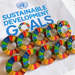 【特別提供品】SDGs ピンバッジ　10点　新品未使用　【国連本部入手品】 