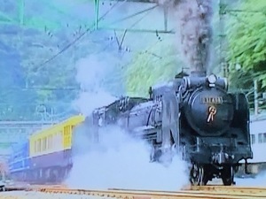 個人撮影　復活蒸気機関車シリーズ　D51498　上越線　水上駅など　　24分 　4:3画面 　DVD-Rにて