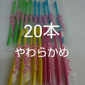 20本セット歯科医院専用大人用Value歯ブラシ　やわらかめ日本製　