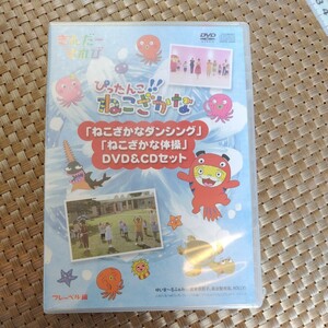 きんだーてれび　DVD　CDセット　ぴたんこねこさかな　新品未使用未開封教材　キッズ　学習