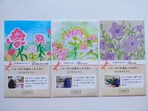 花の種 美女なでしこ クレオメ キキョウ