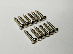 ★☆新品 ペグ用スクリュー クローム 12本セット2.0×10mm ネジ ビス