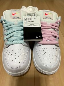 ナイキ ダンク ロー SB "ビートゥルー"NIKE DUNK low sb "Be True" 24.5cm