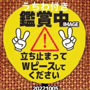 ファンサ うちわ付き 名前オーダー うちわ文字 ハングルタイ語 うちわ文字 ボード カンペうちわ 両面可能