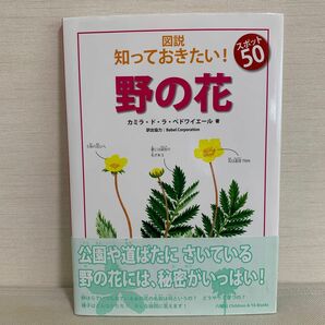 図説知っておきたい!スポット50野の花　新品　本　すみれ　雑草　草花　植物　図鑑