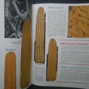 1946年 ディブルズ・ファーム・シード・ファクツ ヴィンテージ カタログ コーン/ポテト 畑作物 園芸・種苗/種子 アメリカ 農場 栽培方法の画像3