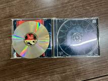 thrice Identity Crisis The Illusion of Safety 2枚組 スライス SICK OF IT ALL strife agnostic front mad ball biohazard earth crisis_画像6