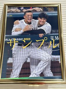 大谷翔平　A4写真　他にも多数出品していますので是非ご覧下さい！WBC大谷選手とヌートバー選手フレームカラーゴールドA4サイズ