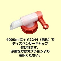 CARPRO HydrO2 Lite ハイドロ2 ライト 4000ml カープロ クイックコーティングスプレー_画像2