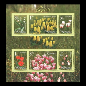 ■ルーマニア切手　2006年　花 / チューリップ　6種シート