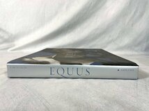 TS4486_Ts◆モデルR展示品◆洋書 BOOK◆写真集◆動物◆EQUUS TIM FLACH◆馬◆ウマ◆ABRAMS◆_画像7