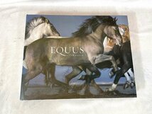 TS4486_Ts◆モデルR展示品◆洋書 BOOK◆写真集◆動物◆EQUUS TIM FLACH◆馬◆ウマ◆ABRAMS◆_画像1