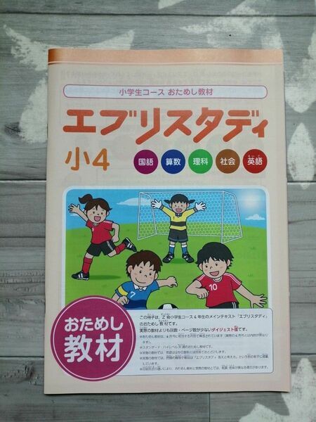 Z会　エブリスタディ　４年　ワーク　おためし　教材　