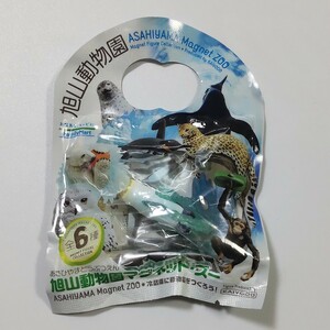 キングペンギン・マグネット★海洋堂 旭山動物園マグネット・ズー フィギュアコレクション 検)非売品 カプセルZOO カプセルズー