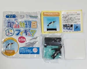 飛ぶように泳ぐペンギン キングペンギン★旭山動物園 どうぶつフィギュア ファミリーマート限定 検)非売品