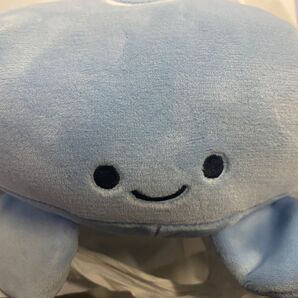新江ノ島水族館 ぬいぐるみクジ クラゲ 3等