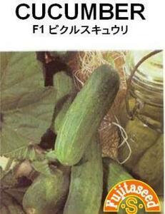 ＜野菜の種＞Ｆ１ピクルスきゅうり　たね　１５粒　ミニキュウリ　胡瓜　４種郵便にて発送